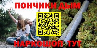 spice Кимры