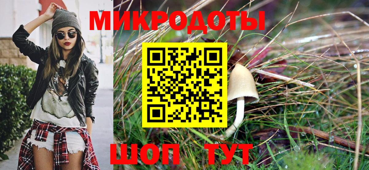 Псилоцибиновые грибы мицелий Крымск